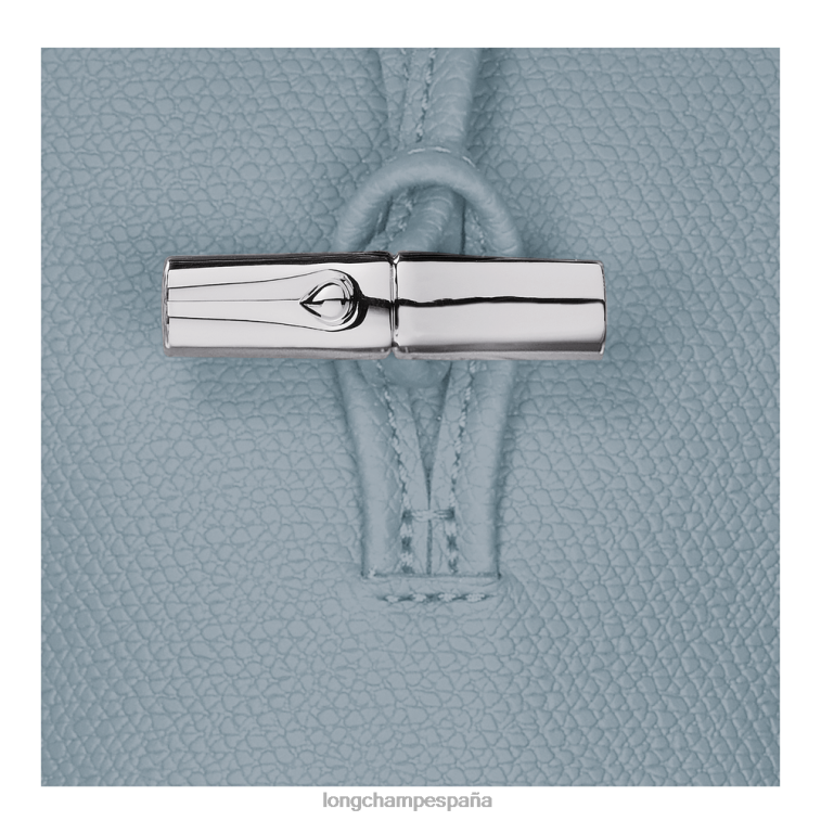 Longchamp funda para teléfono roseau con encaje nube azul mujer Artículos de cuero 064LB687